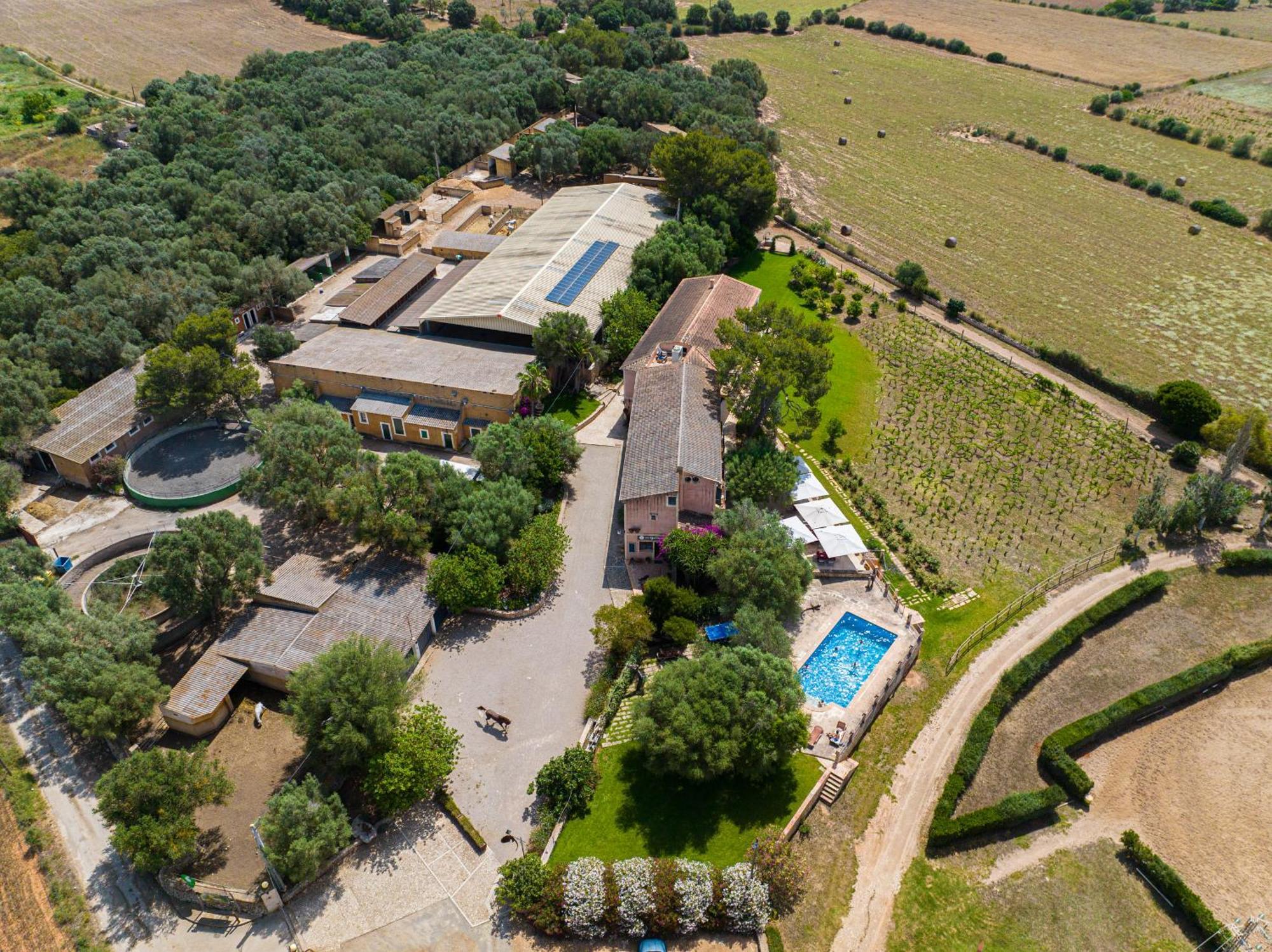 Finca Agroturismo Son Menut Felanitx Exterior foto